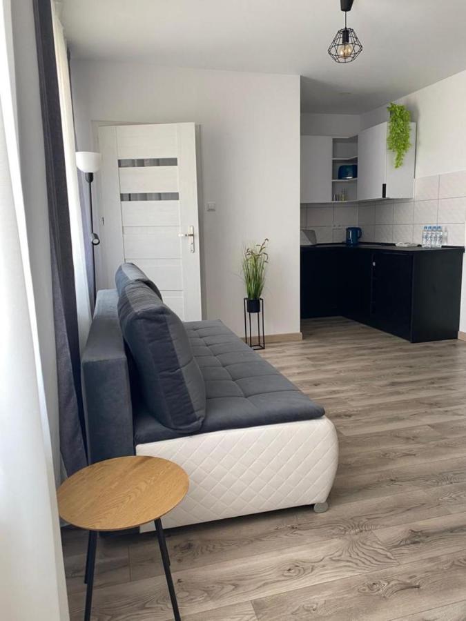 Apartamenty Zatorze Leszno  Zewnętrze zdjęcie